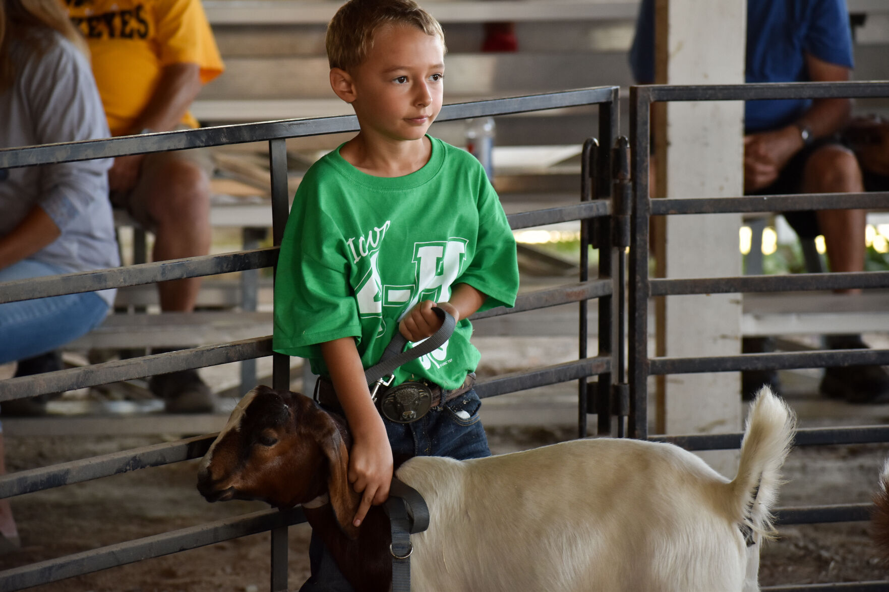 North Iowa Fair 6